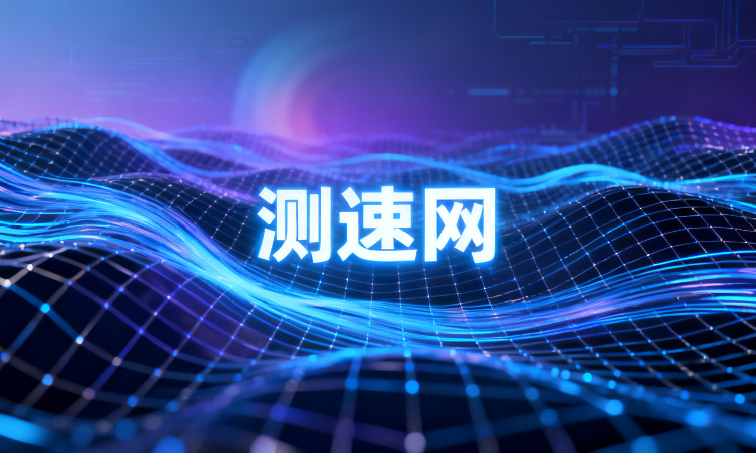 测速网